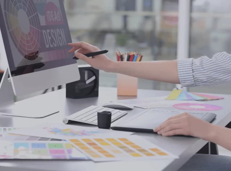 Branding design showcase
